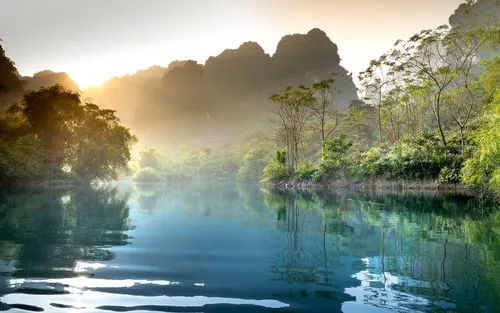 高效节能全自动